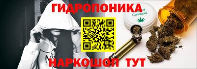стаф Кулебаки