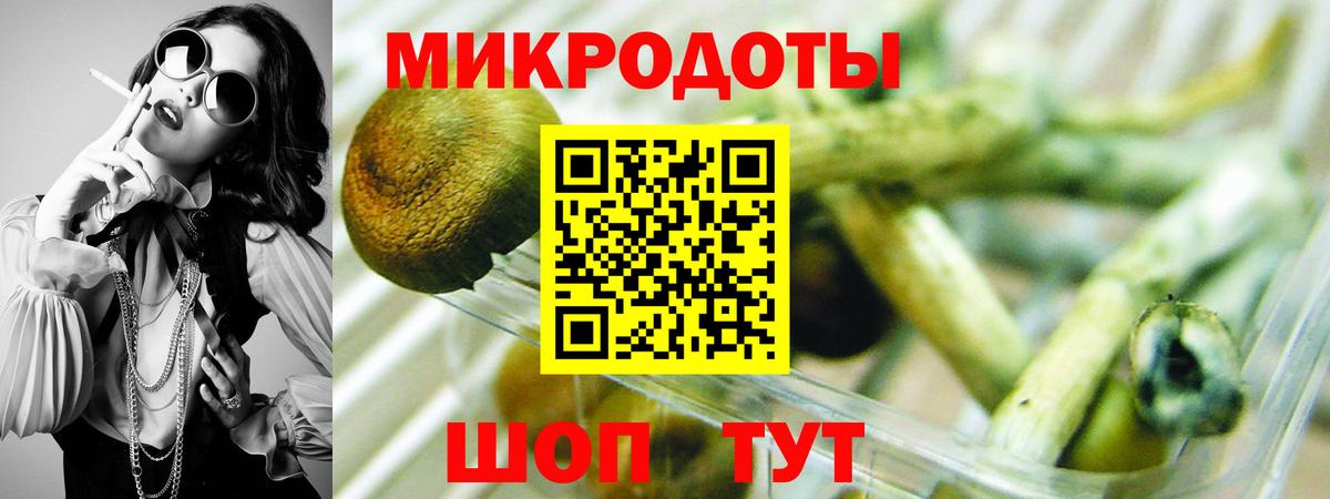 купить   Псилоцибиновые грибы Cubensis  Вход с VPN  Дзержинск 